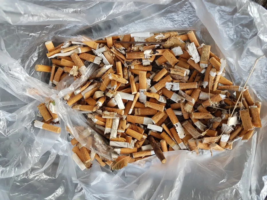 Kippensammeln am World Cleanup Day 2021
