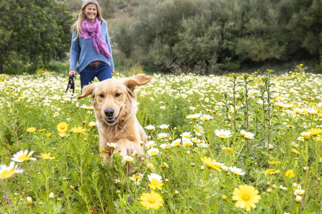 Die Zukunft der Hundewiese